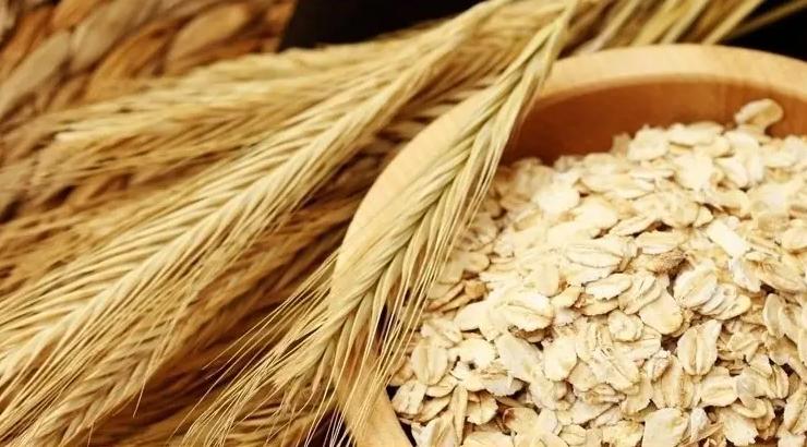 宝宝辅食做法有助于消化的,提高宝宝聪明的辅食有哪些