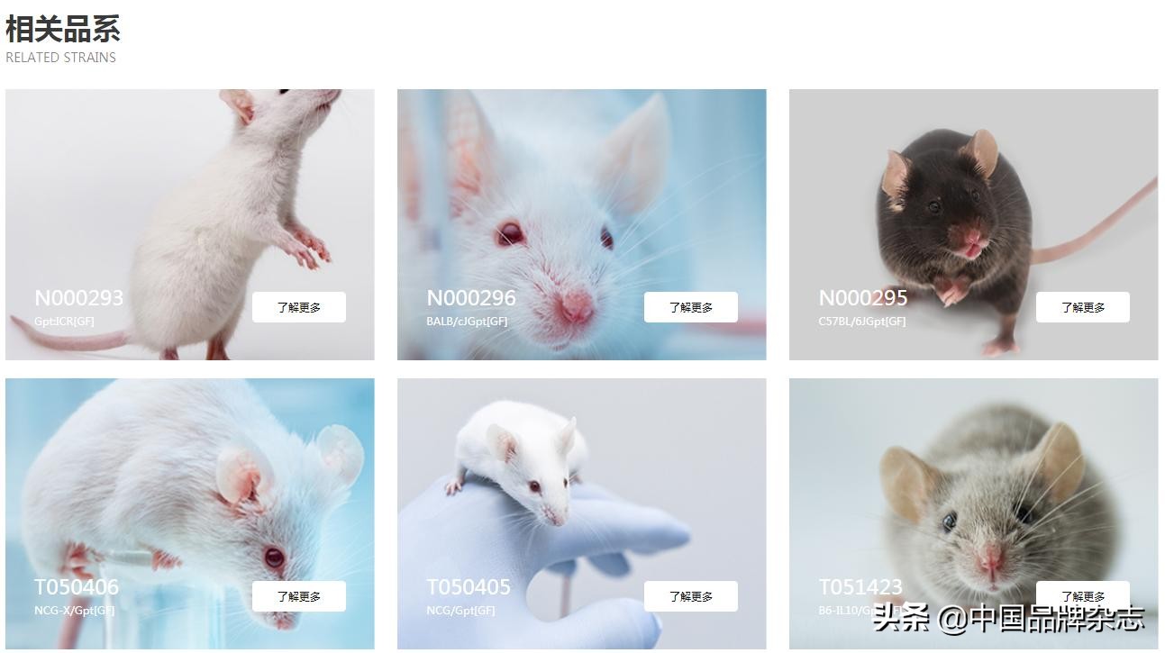 资本入局实验猴，实验动物迎来“夏天”