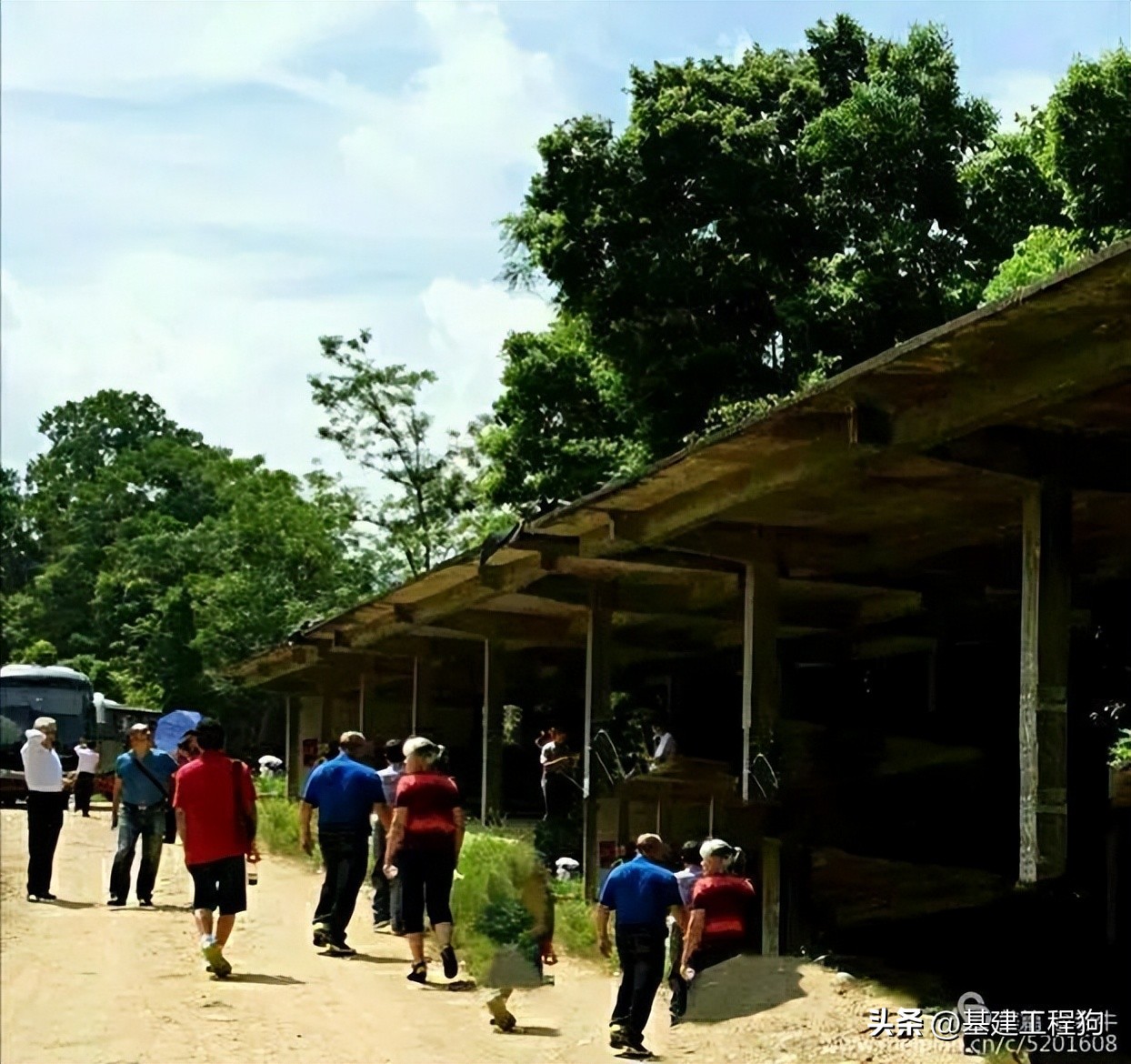 难忘啊老知青,基建工程兵31支队303团历史