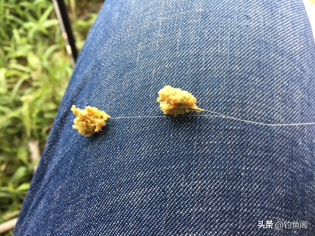 钓鱼时怎样调漂才是正确的,钓鱼怎样调漂才是正确的