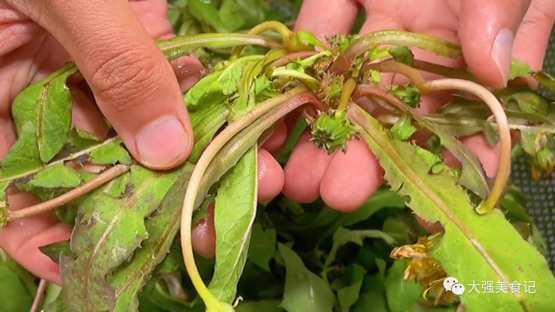 三种带青霉素的菜建议中老年人吃,提升免疫力这4种菜要多吃