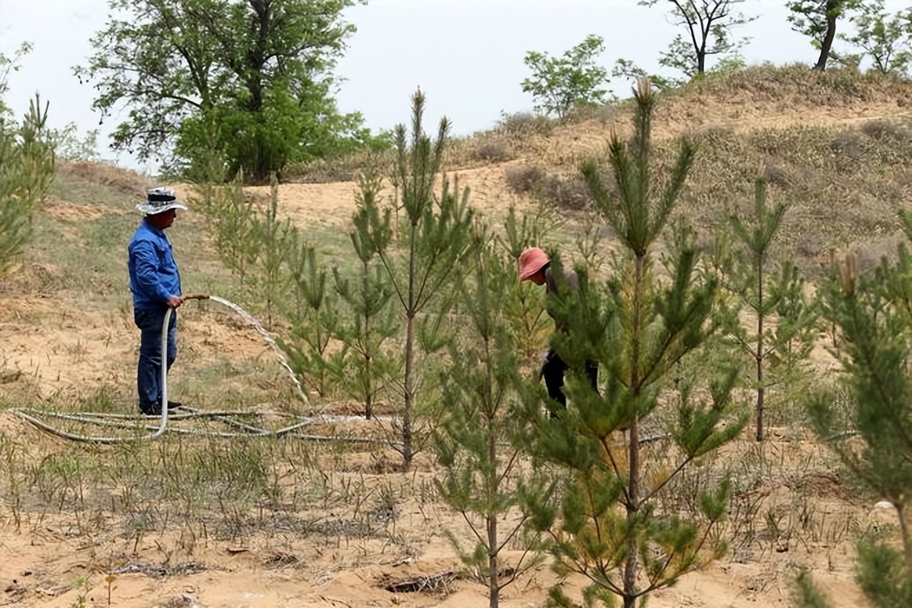 东北巨骗*相贵陈**：与赵本山合作，花182万买手机号，最终锒铛入狱