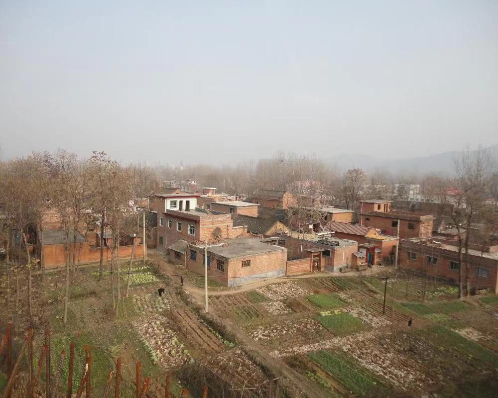 养殖一条鳄鱼大概盈利多少,养殖一条鳄鱼一年赚多少钱