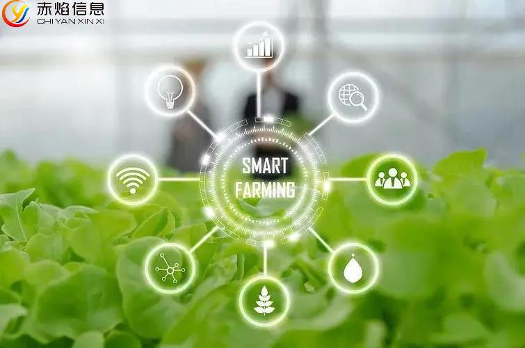 认养农业平台,认养农业模式怎么做