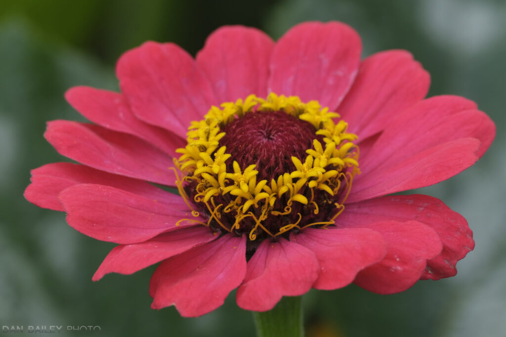 富士xf23mmf1.4镜头参数,富士xf50f2rwr镜头怎么样