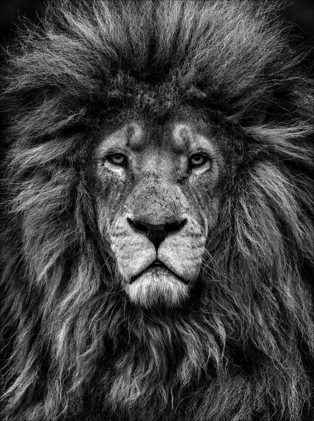 摄影界最著名的奖,摄影界的最高奖项叫什么