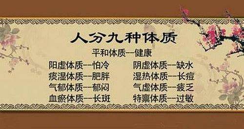 什么体质的人适合喝什么样的茶,常喝茶有好处但要根据体质来选茶