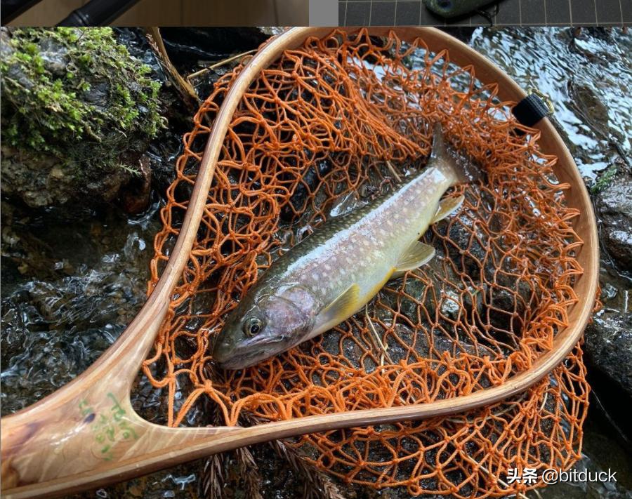 路亚钓鱼装备入门推荐,路亚钓鱼装备全套推荐