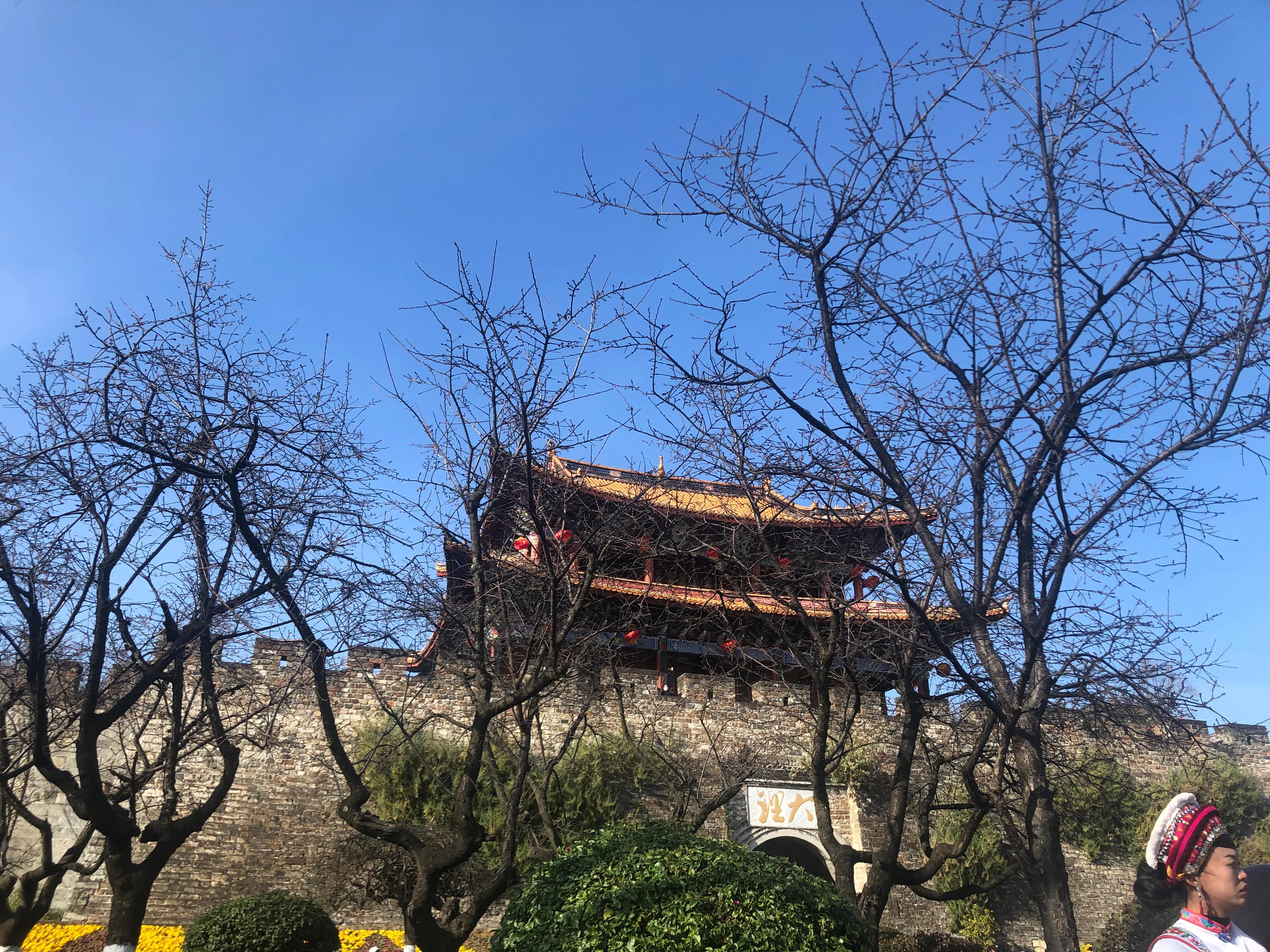 云南到底值不值得跟团,去云南跟团去会不会被坑