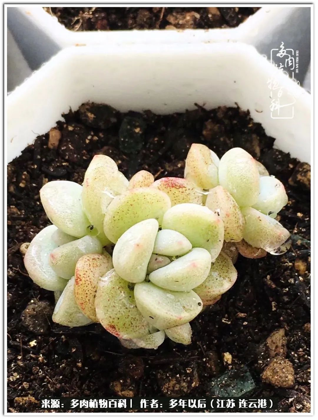 我若不弃，愿你不负我所期