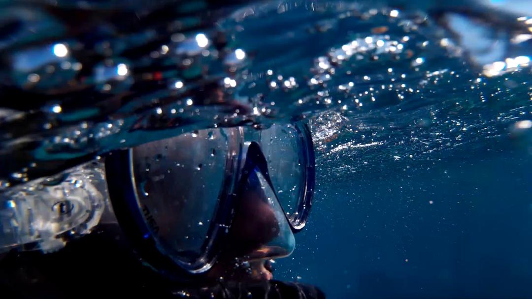 潜水知识科普类视频,潜水井的水可以养鱼嘛