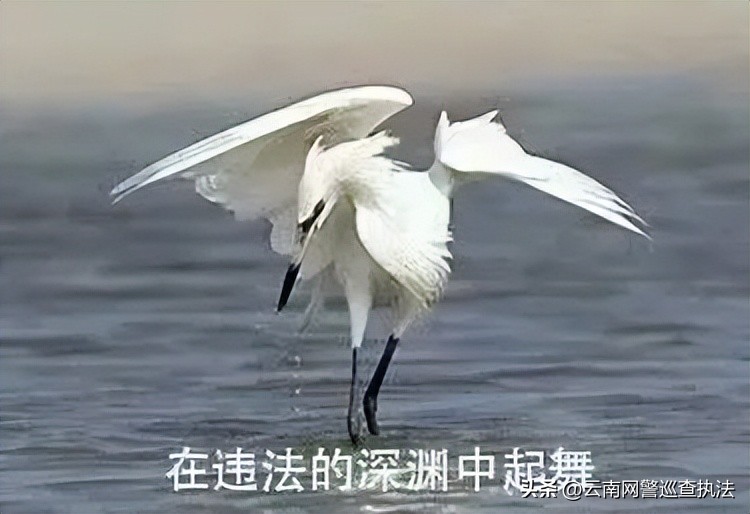 为赌博网站做推广，这几名站长栽了