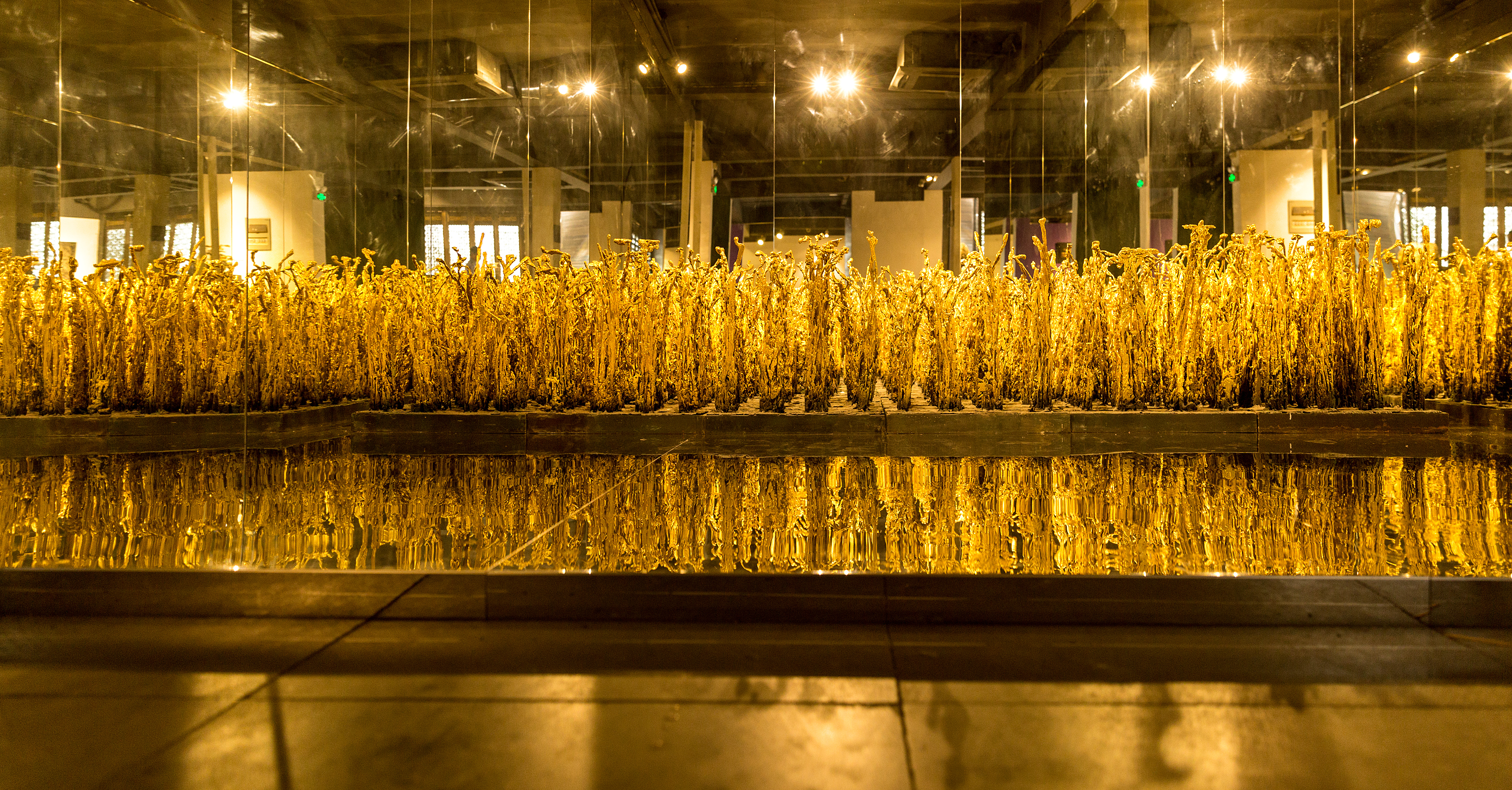 自学成才的古琴大师,自学成才木匠