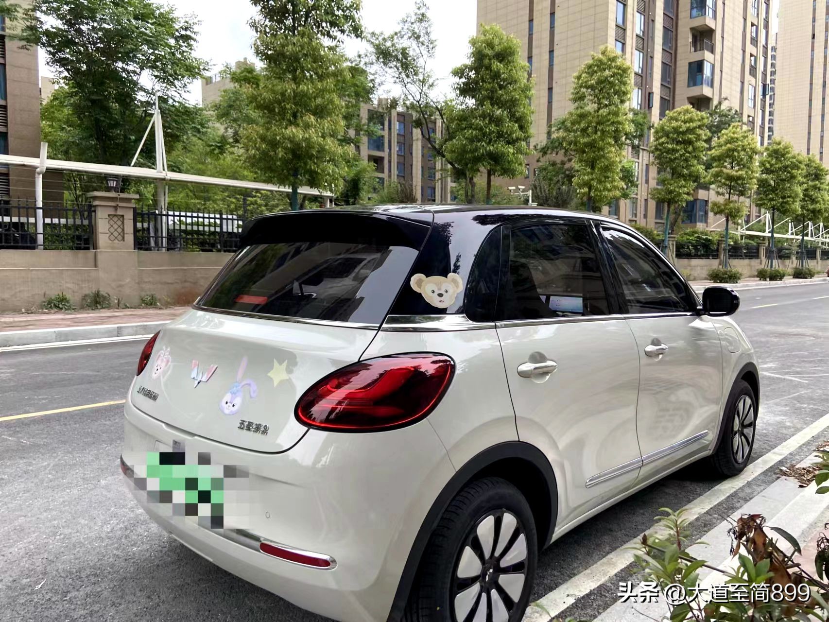 和宾果一起抓住春天的尾巴,与五菱缤果开启一场春日之旅