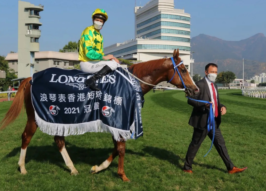 单日投注额17.28亿：1亿港元奖金香港国际赛事落幕