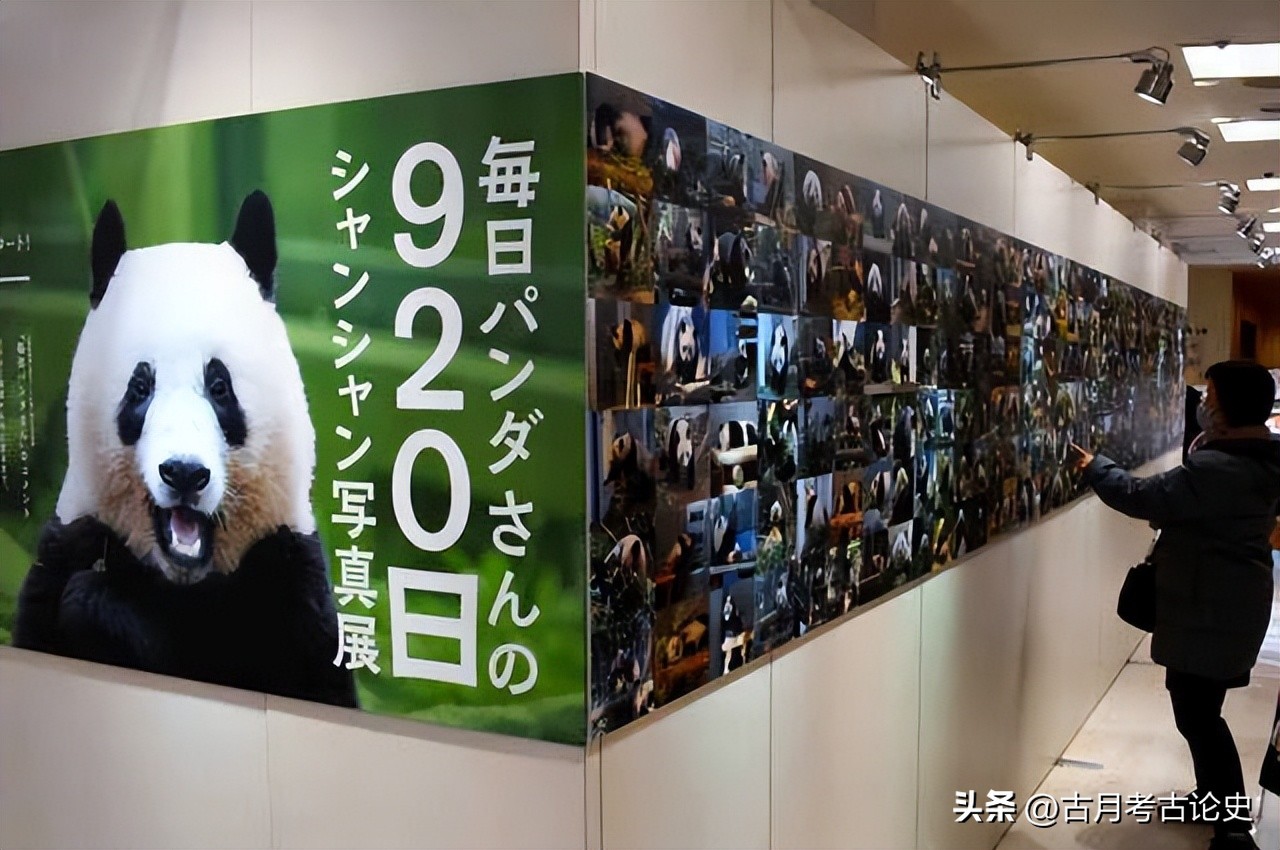 旅日大熊猫回国日本人反应,四只旅日大熊猫陆续归国