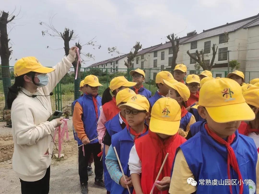 星光不负赶路人,春光不负赶路人视频