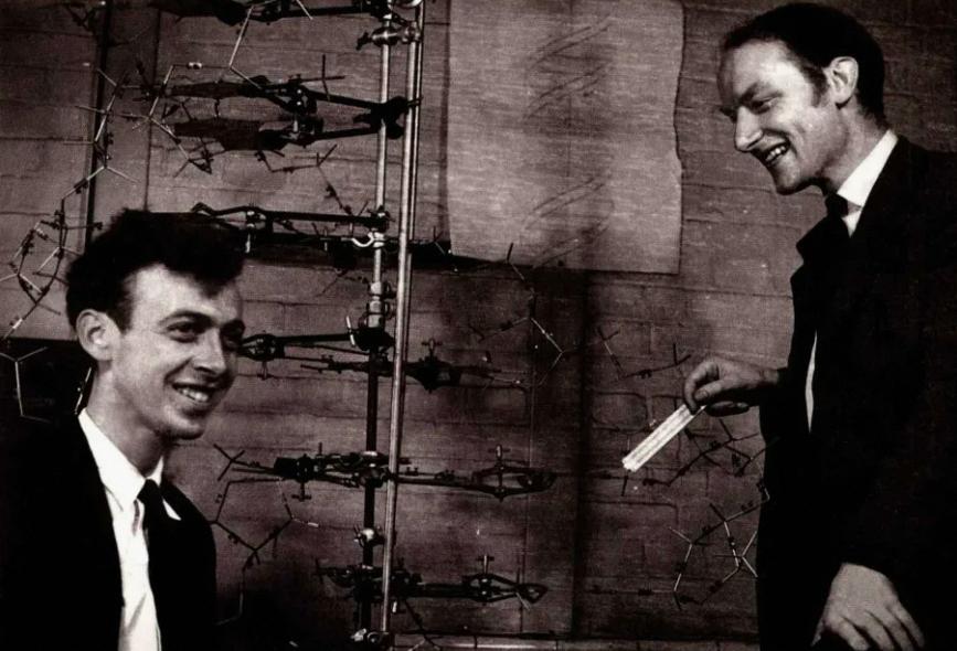 dna证据,dna证据准不准