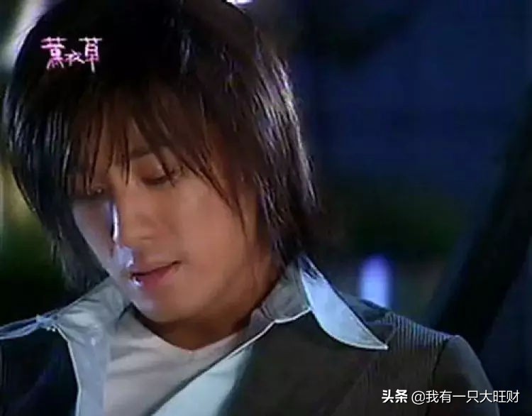 薰衣草从零开始,薰衣草诠释爱情