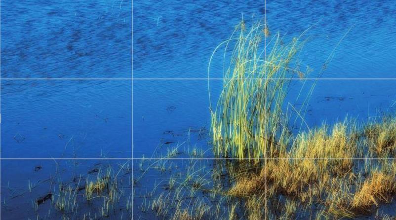 摄影的黄金分割构图法,摄影横向构图和纵向构图的特点