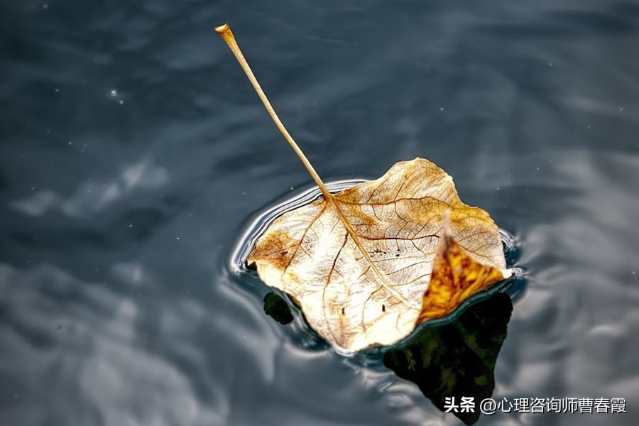 练习到第5周，重度失眠症、焦虑症的我，竟然一觉睡到了天亮