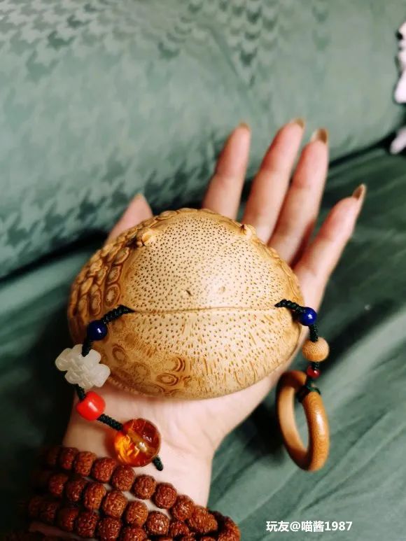 傻狍子角手把件,傻狍子的角掉了还能长出来吗