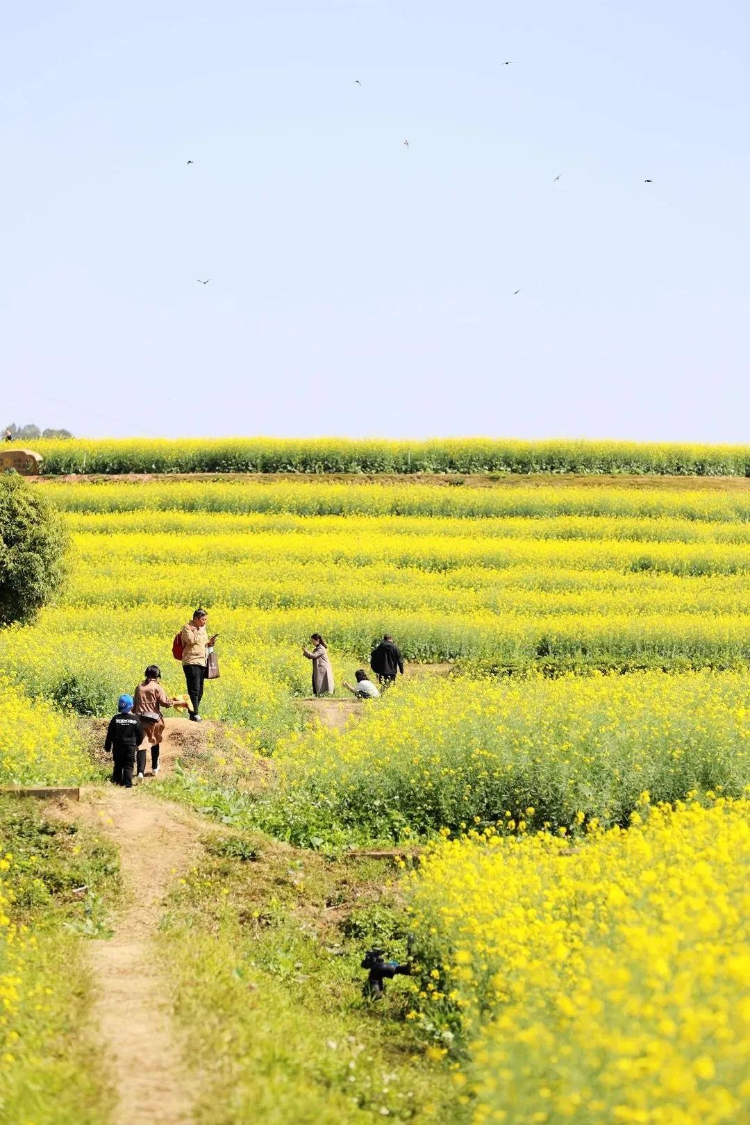 深圳甘坑客家小镇旅行,深圳甘坑古镇附近一日游攻略
