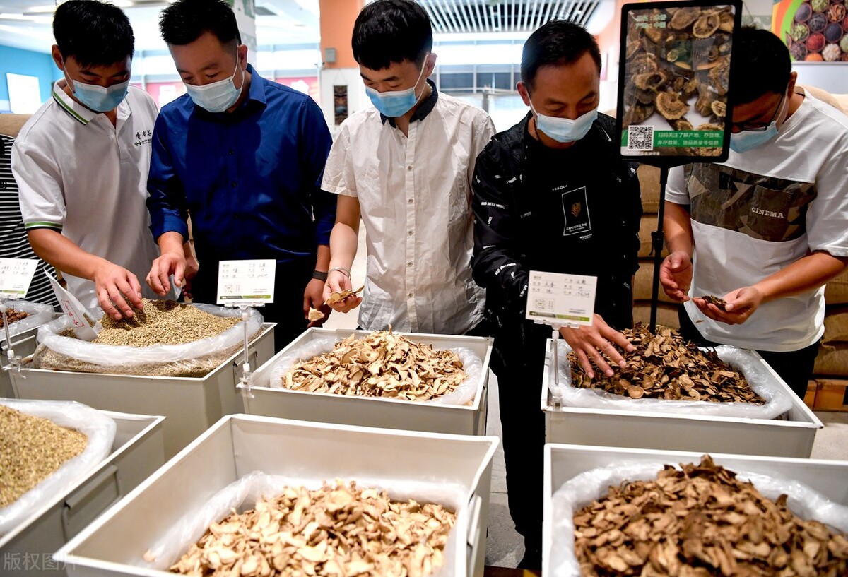 楦跨瘒宸ㄨ憲瀹屾暣瑙嗛,楦跨瘒澶т綔