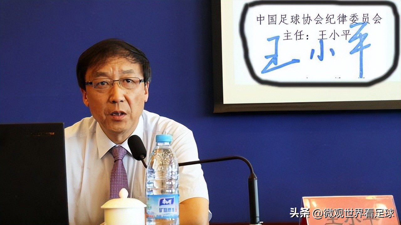 足协最新消息王小平,足协纪律委员会负责人王小平