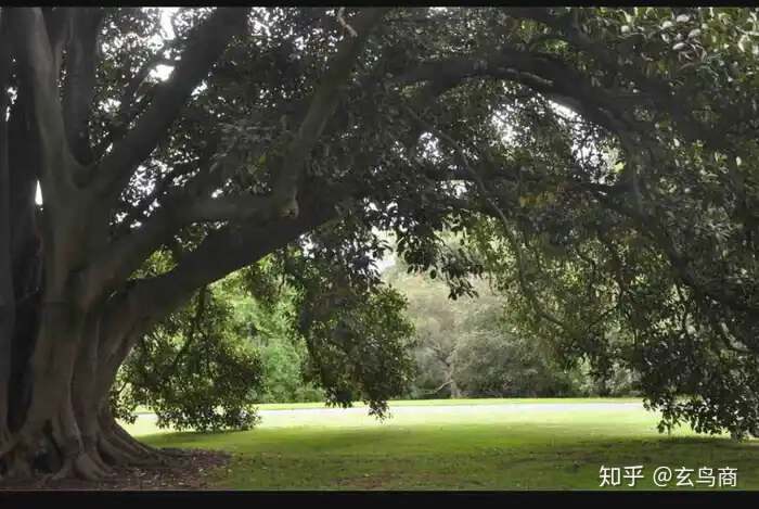 山海经2012白话全译彩图版pdf,山海经海外西经是指哪里