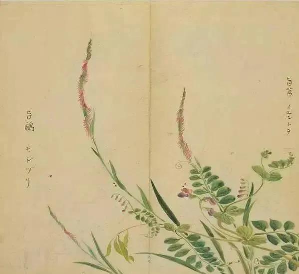 诗经陈风月出原文赏析,诗经陈风月出正确读音