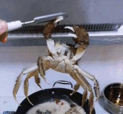 伴娘蹲角落里玩手机,伴娘躲在角落玩手机很漂亮