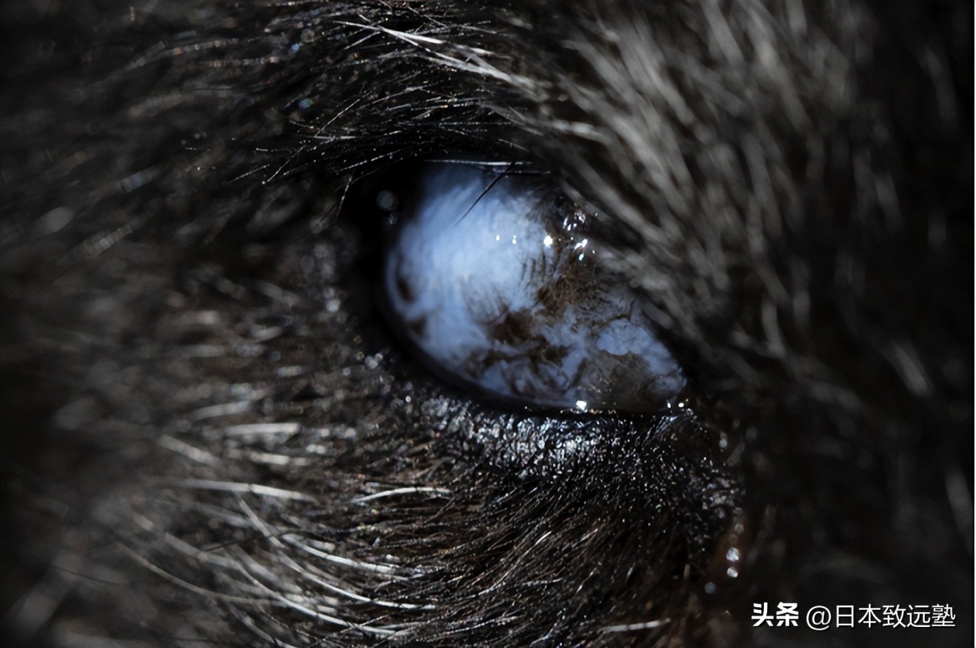 Artevents|东京6月展览活动资讯