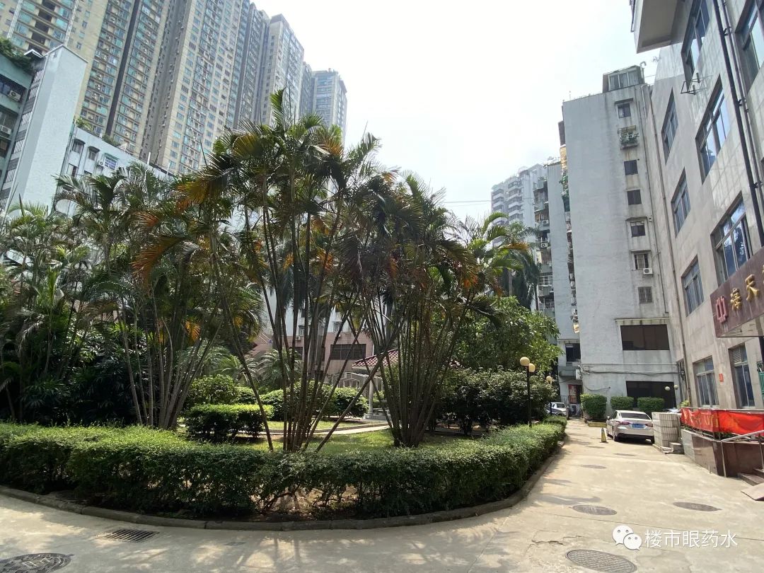 广州越秀培正小学电梯房,培正小学最好的学位房