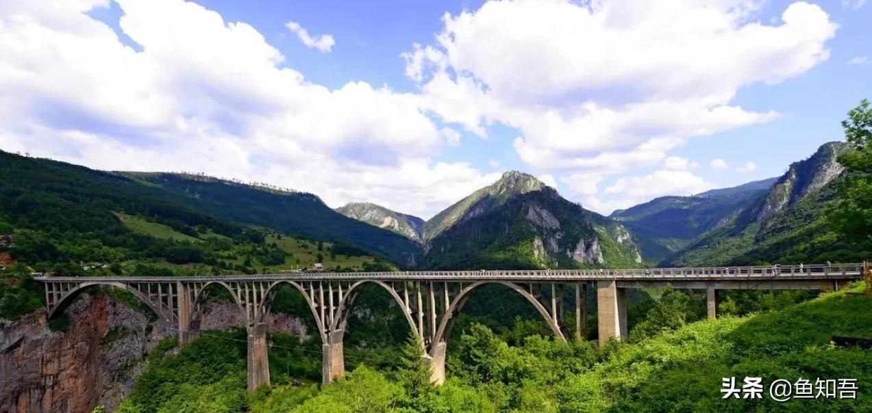 说同一种语言的国家,说同一种语言的有哪些国家