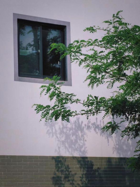 拍立得相机初学,拍立得相机拍摄教学视频