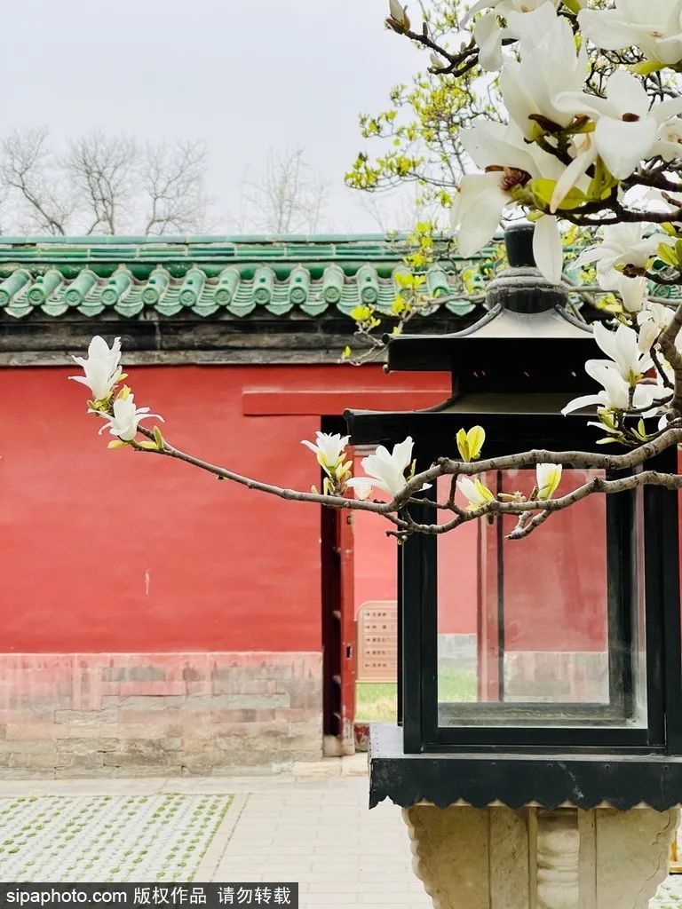 不负春光解锁春日美景打卡点,不负春光解锁春日美景攻略