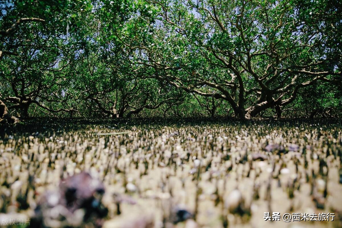 广东十大自然风景,广东有哪些独特的风景和物产