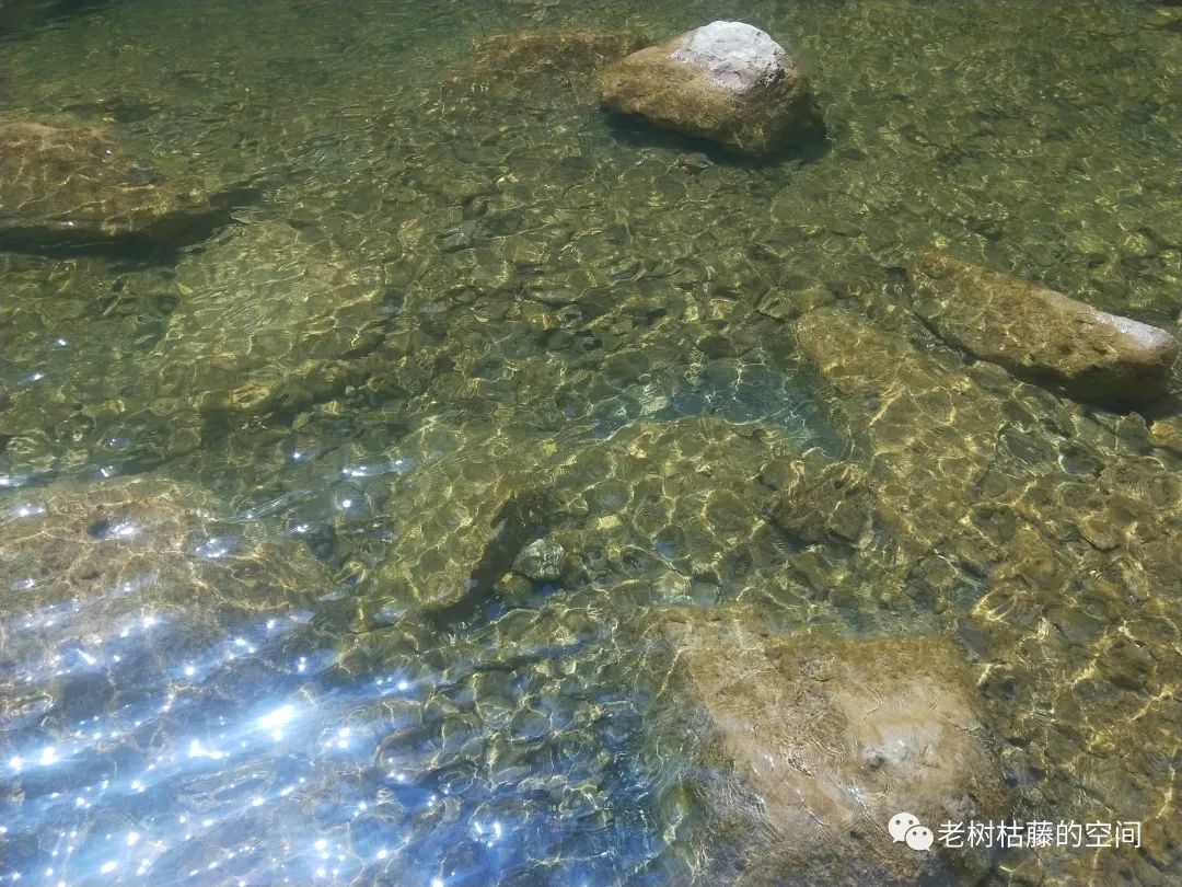 旅游的游繁体字,旅游的游踪