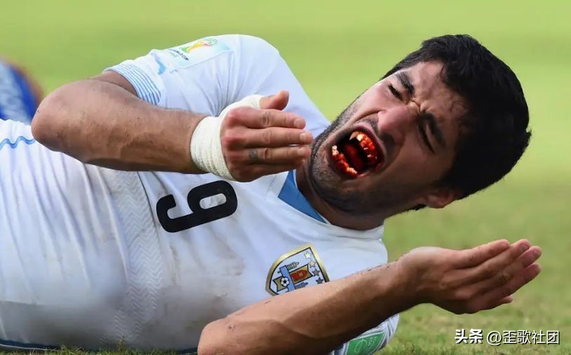 十万个冷知识全套4册,2022世界杯冷知识