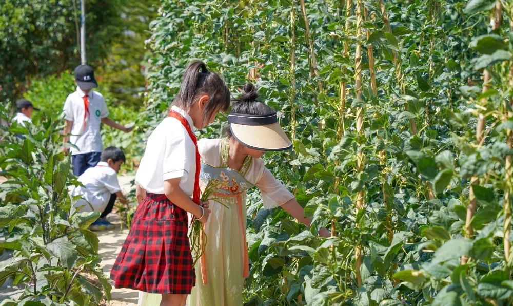 我想这样过六一,我也想拥有这样的爱情