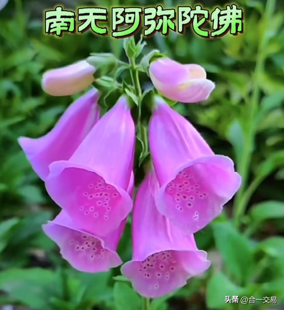 一个期货老将的交易感悟,一个老交易员的历程