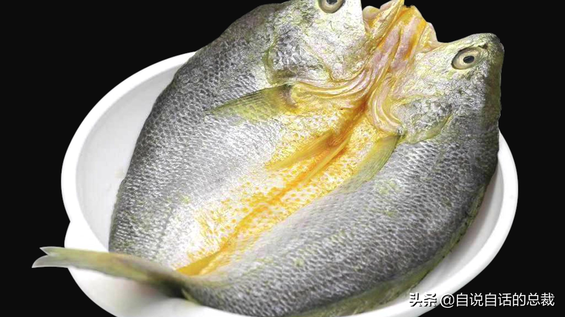 目前野生大黄鱼为什么这么贵,大黄鱼最贵价格多少钱一斤