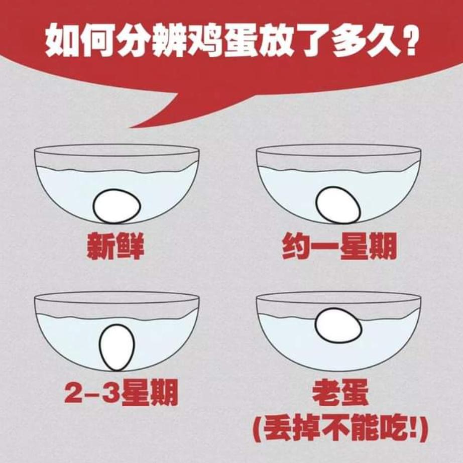 德国消费者信心先行,德国消费者的现状