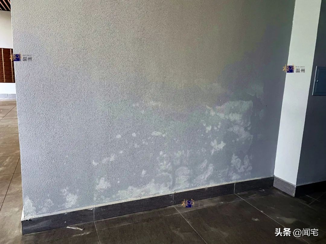 温州这个新盘交付了!号称“精工”,重要区域却极其简陋!