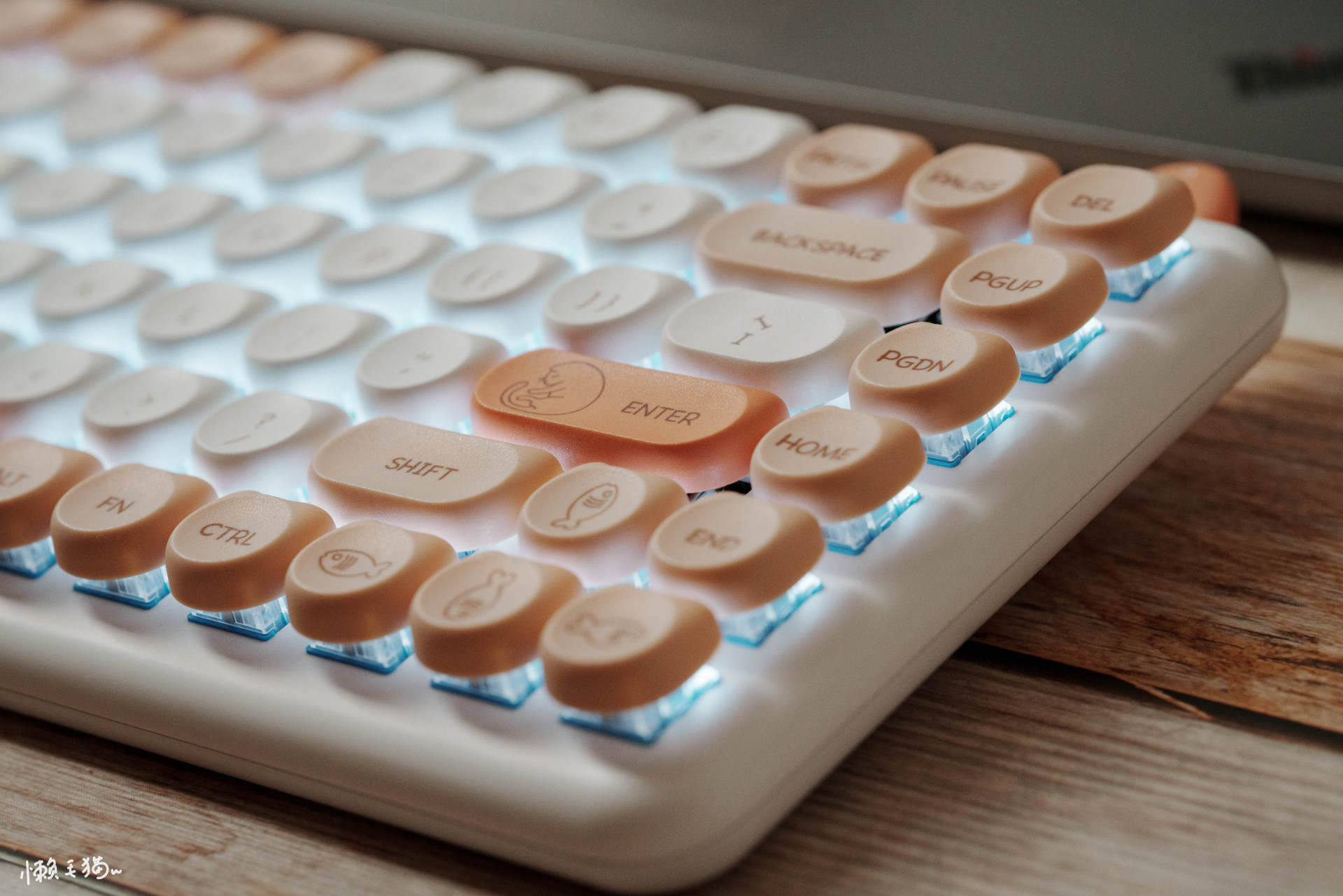 强烈推荐的键盘,推荐这几款键盘