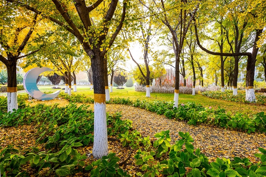 佳能16-35mm2.8f镜头一代评测,佳能rf15-35f2.8镜头值不值得买
