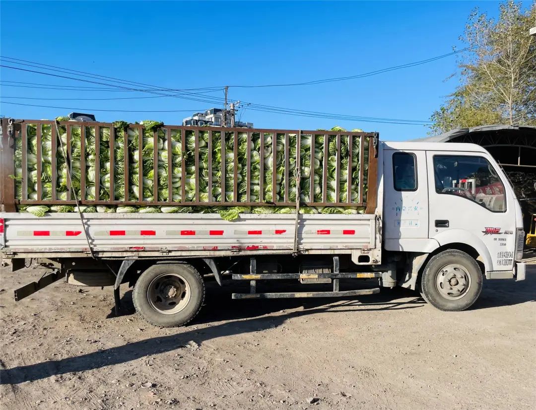 凝心聚力抗疫情爱心捐赠显关怀,爱心捐助暖人心万众一心抗疫情