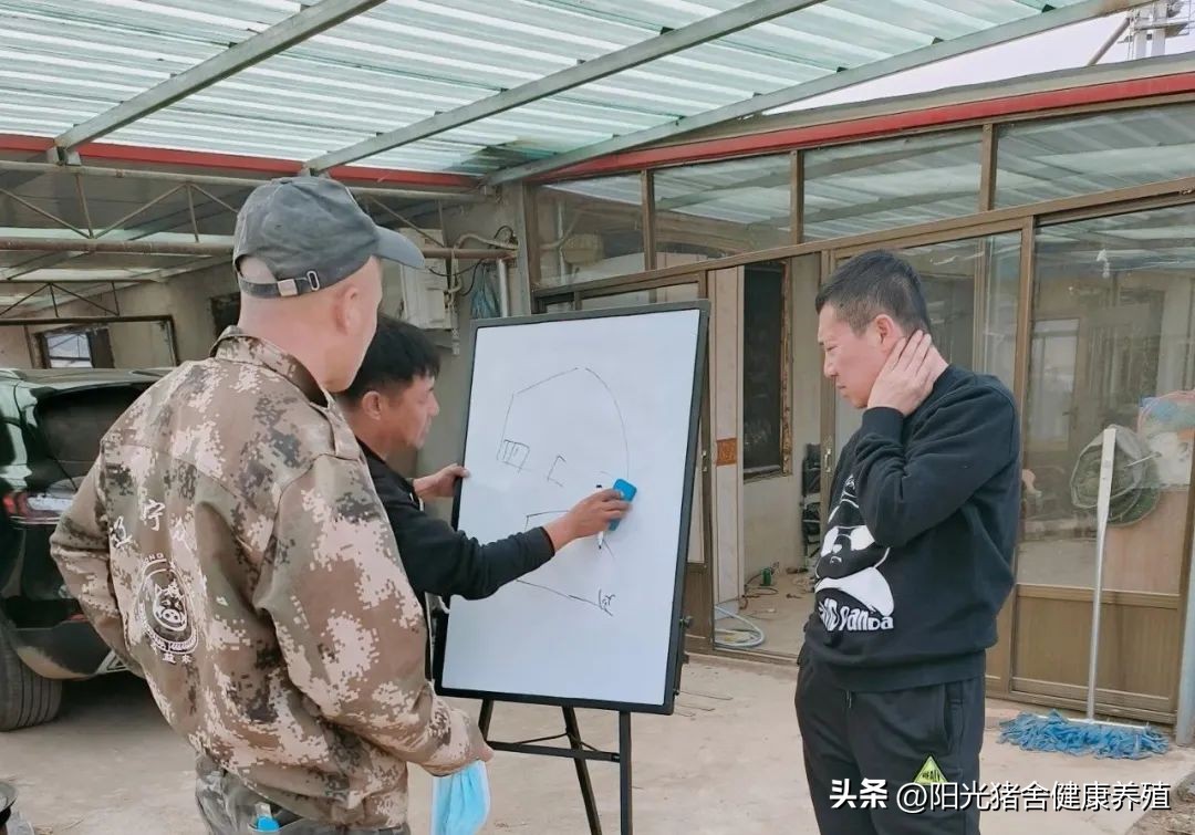 家庭农场养猪怎么样赚钱,农村养殖场养猪怎么赚钱