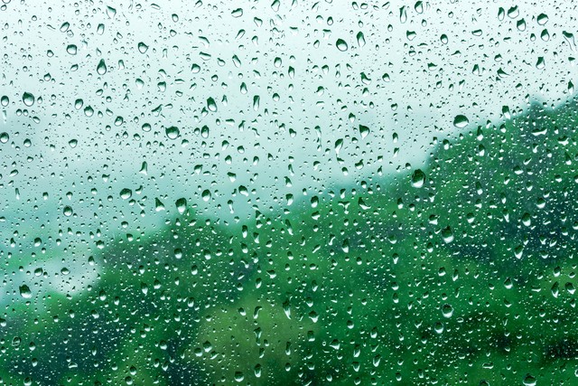 下雨天了怎么办下一句怎么接,下雨天了怎么办完整版